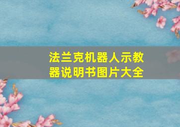 法兰克机器人示教器说明书图片大全