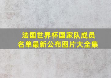 法国世界杯国家队成员名单最新公布图片大全集