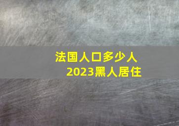 法国人口多少人2023黑人居住