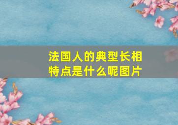 法国人的典型长相特点是什么呢图片