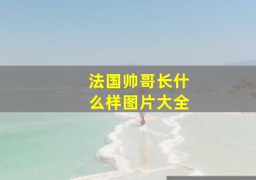 法国帅哥长什么样图片大全