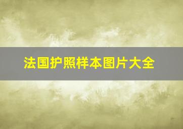 法国护照样本图片大全