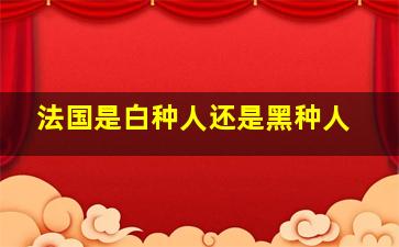 法国是白种人还是黑种人