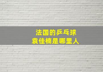 法国的乒乓球袁佳楠是哪里人