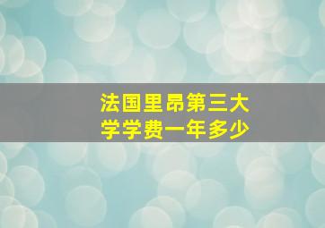 法国里昂第三大学学费一年多少