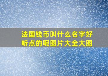 法国钱币叫什么名字好听点的呢图片大全大图