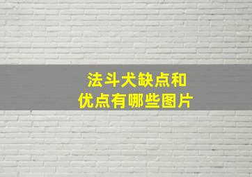 法斗犬缺点和优点有哪些图片