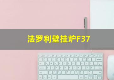 法罗利壁挂炉F37