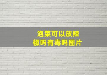 泡菜可以放辣椒吗有毒吗图片