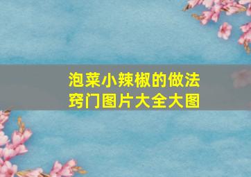 泡菜小辣椒的做法窍门图片大全大图