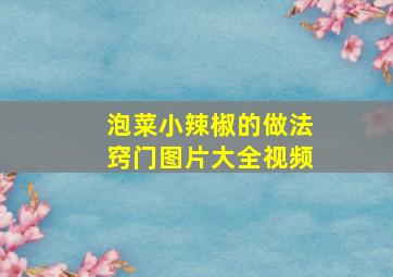 泡菜小辣椒的做法窍门图片大全视频