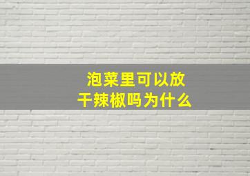 泡菜里可以放干辣椒吗为什么