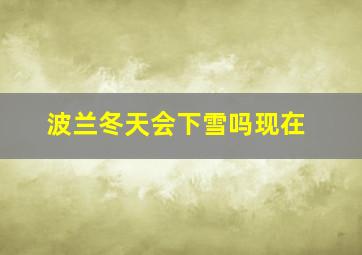 波兰冬天会下雪吗现在