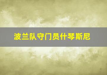 波兰队守门员什琴斯尼