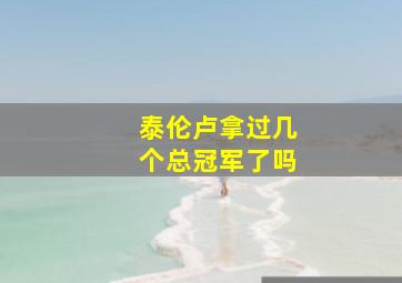 泰伦卢拿过几个总冠军了吗