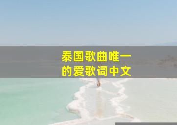 泰国歌曲唯一的爱歌词中文