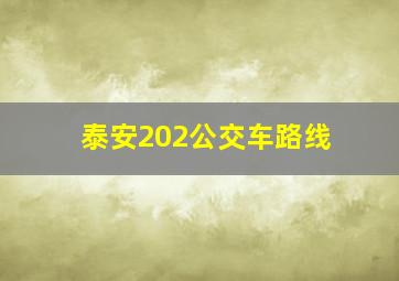 泰安202公交车路线