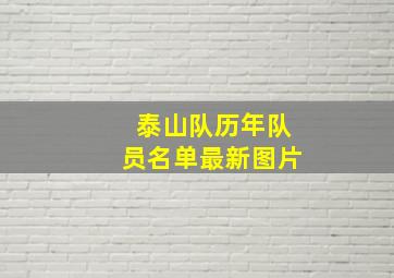 泰山队历年队员名单最新图片