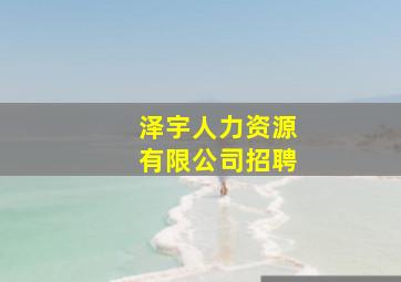 泽宇人力资源有限公司招聘