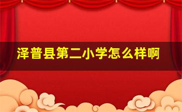 泽普县第二小学怎么样啊