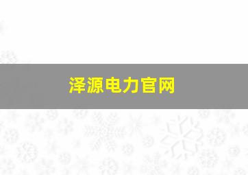 泽源电力官网