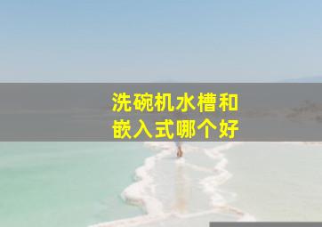 洗碗机水槽和嵌入式哪个好