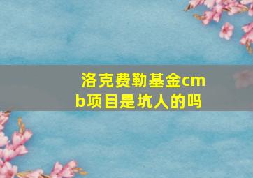 洛克费勒基金cmb项目是坑人的吗