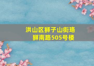 洪山区狮子山街珞狮南路505号楼