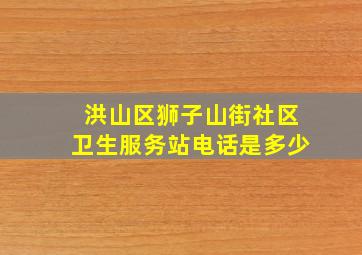 洪山区狮子山街社区卫生服务站电话是多少