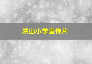 洪山小学宣传片