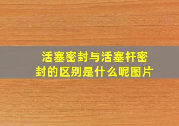 活塞密封与活塞杆密封的区别是什么呢图片