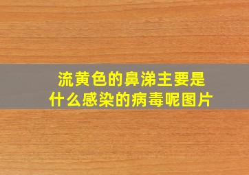 流黄色的鼻涕主要是什么感染的病毒呢图片