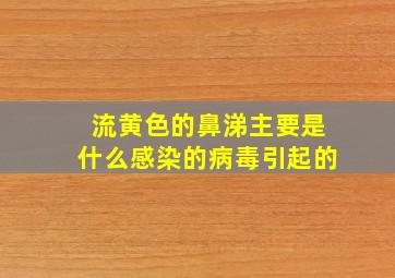 流黄色的鼻涕主要是什么感染的病毒引起的