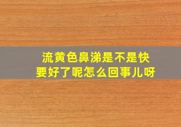 流黄色鼻涕是不是快要好了呢怎么回事儿呀