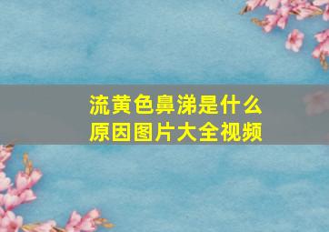 流黄色鼻涕是什么原因图片大全视频