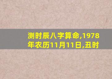 测时辰八字算命,1978年农历11月11日,丑时