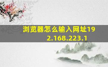 浏览器怎么输入网址192.168.223.1