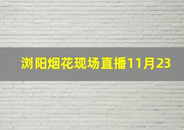 浏阳烟花现场直播11月23