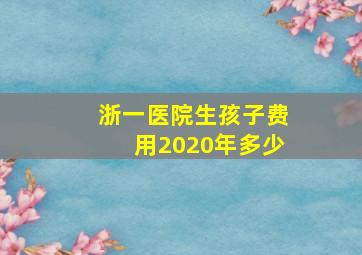 浙一医院生孩子费用2020年多少