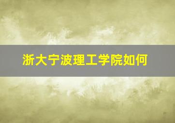 浙大宁波理工学院如何