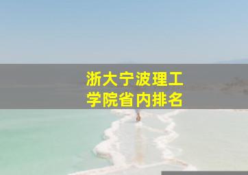 浙大宁波理工学院省内排名