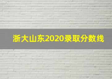 浙大山东2020录取分数线