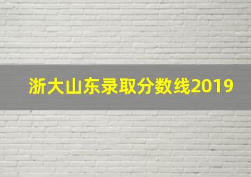 浙大山东录取分数线2019