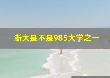 浙大是不是985大学之一