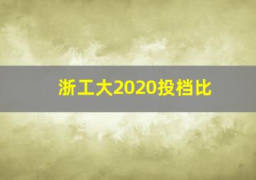 浙工大2020投档比