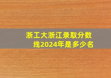 浙工大浙江录取分数线2024年是多少名