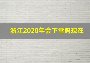 浙江2020年会下雪吗现在