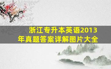 浙江专升本英语2013年真题答案详解图片大全