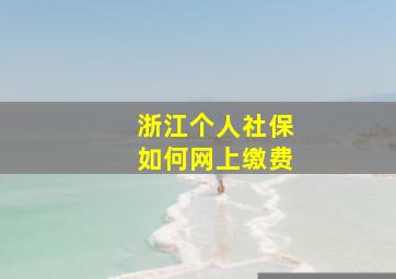 浙江个人社保如何网上缴费