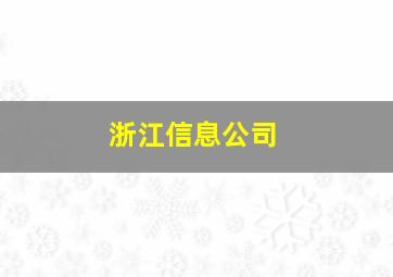 浙江信息公司